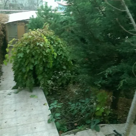 Guest house Flowers Odesa