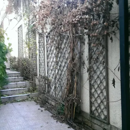 Flowers * Odesa